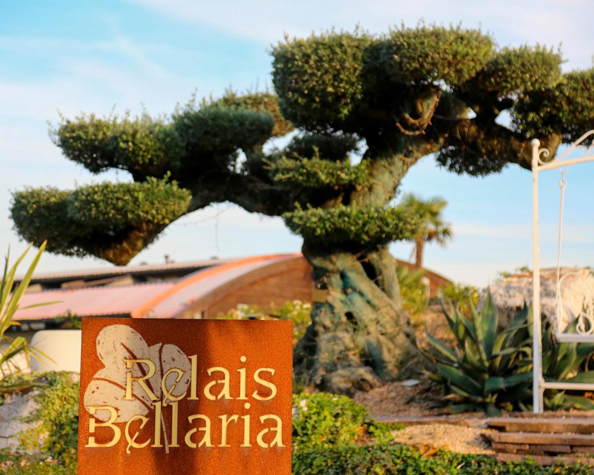 Relais Bellaria Hotel & Congressi Σαν Λάτζαρο ντι Σάβενα Εξωτερικό φωτογραφία