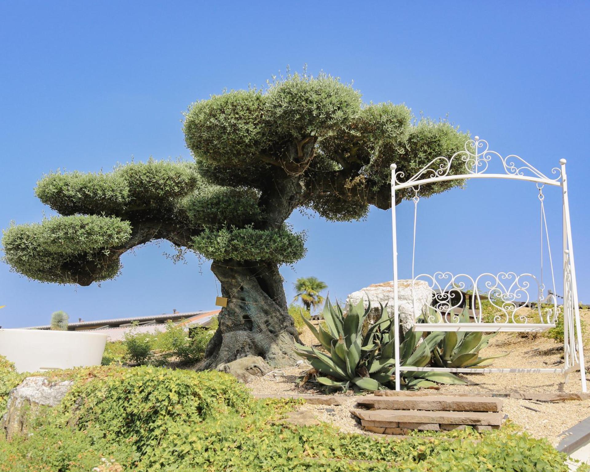 Relais Bellaria Hotel & Congressi Σαν Λάτζαρο ντι Σάβενα Εξωτερικό φωτογραφία